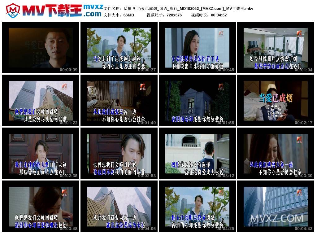 岳耀飞-当爱己成烟_国语_流行_MD102062